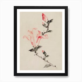 Large Pink Blossom On A Stem With Three Additional Buds, Katsushika Hokusai Art Print