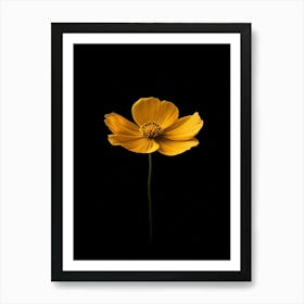 Single Yellow Flower On Black Background 2 Art Print