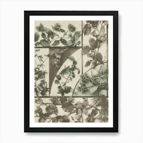 Garden Of Flowers Art Print