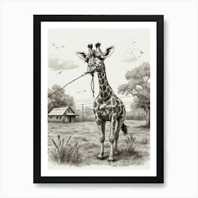 Giraffe 25 Art Print