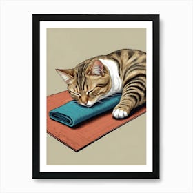 Cat Sleeping On Yoga Mat Art Print