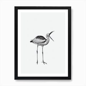 Stork B&W Pencil Drawing 3 Bird Art Print