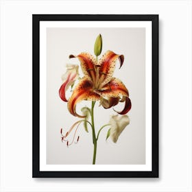 Pressed Flower Botanical Art Gloriosa Lily 3 Art Print