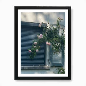 Img 5870 Pink roses near the window Art Print