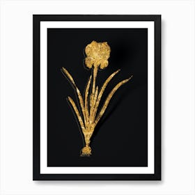 Vintage Mourning Iris Botanical in Gold on Black n.0017 Art Print