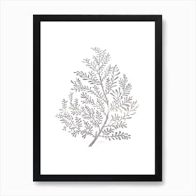 Grey Plant No486b Art Print