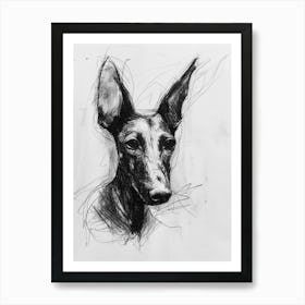 Ibizan Hound Dog Charcoal Line 2 Art Print