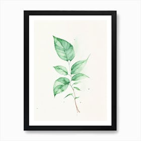 Peppermint Leaf Minimalist Watercolour 1 Art Print