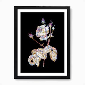 Stained Glass Cabbage Rose Mosaic Botanical Illustration on Black n.0208 Art Print