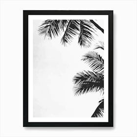 Palm Trees 79 Art Print