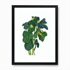 Arrowhead Plant (Syngonium Podophyllum) Watercolor Art Print