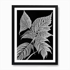 Pokeweed Leaf Linocut 3 Art Print