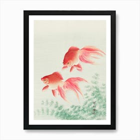 Goldfish Painting 1 Art Print