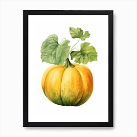 Acorn Squash Pumpkin Watercolour Illustration 1 Art Print