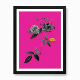 Vintage Hudson Rosehip Black and White Gold Leaf Floral Art on Hot Pink n.0764 Art Print