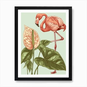 Lesser Flamingo And Anthurium Minimalist Illustration 1 Art Print