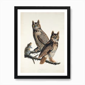 Great Horned Owl, Birds Of America, John James Audubon Art Print