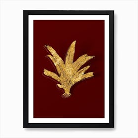 Vintage Boat Lily Botanical in Gold on Red n.0599 Art Print
