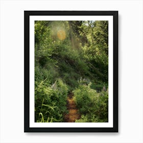 Sunny Trails Art Print