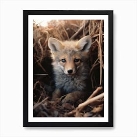 Kit Fox Photorealism 1 Art Print