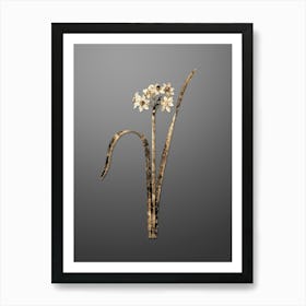 Gold Botanical Cowslip Cupped Daffodil on Soft Gray n.2115 Art Print