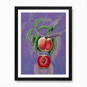 Vintage Carrot Peach Botanical Illustration on Veri Peri n.0334 Art Print