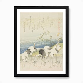 Herd Of Cranes Poster Print, Katsushika Hokusai Art Print