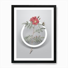 Vintage Rosa Redutea Glauca Minimalist Floral Geometric Circle on Soft Gray n.0550 Art Print