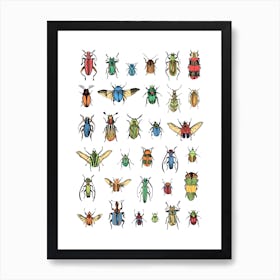 Beetles Art Print