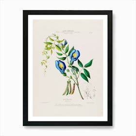 Blue Larkspur Art Print