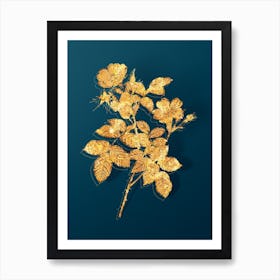 Vintage Short Styled Field Rose Botanical in Gold on Teal Blue n.0038 Art Print