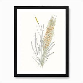 Horsetail Spices And Herbs Pencil Illustration 1 Art Print