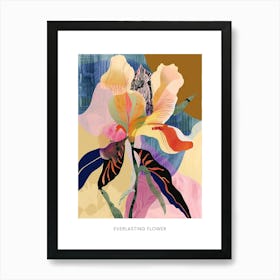 Colourful Flower Illustration Poster Everlasting Flower 2 Art Print