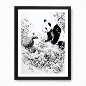 Giant Panda And A Blood Pheasant Ink Illustration 3 Art Print