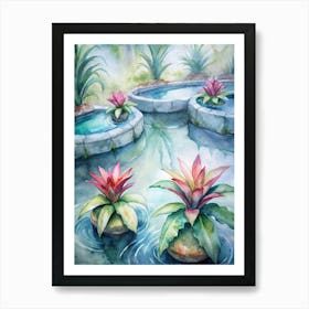 7 Bromeliads With Water Pools At Their Center Art Print