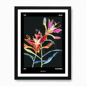 No Rain No Flowers Poster Kangaroo Paw 1 Art Print