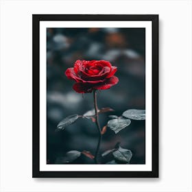 Rose In The Dark 9 Art Print