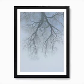 Winter. A Branching Tree In The Fog. Art Print