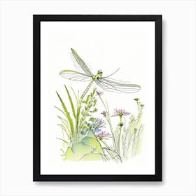 Dragonfly In Garden Pencil Illustration 1 Art Print