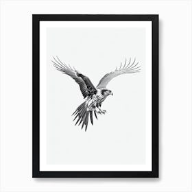 Golden Eagle B&W Pencil Drawing 2 Bird Art Print