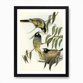 Three Birds In A Nest by Elizabeth Gould Art Print