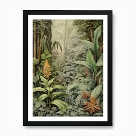 Vintage Jungle Botanical Illustration Ginger 1 Art Print