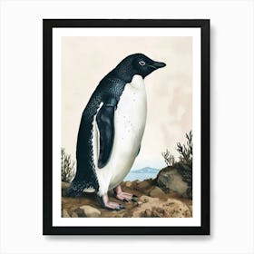 Adlie Penguin Carcass Island Vintage Botanical Painting 4 Art Print