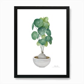 Cyclamen.A fine artistic print that decorates the place. Art Print