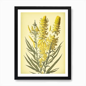 Goldenrod 3 Floral Botanical Vintage Poster Flower Art Print