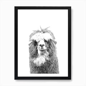 Black and White Alpaca Illustration Art Print