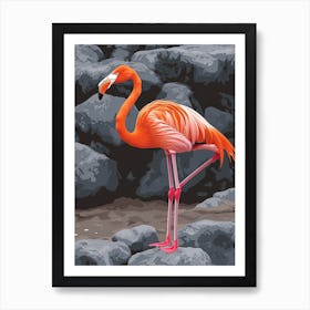 Greater Flamingo Galapagos Islands Ecuador Tropical Illustration 2 Art Print