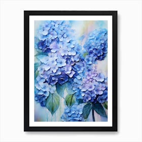 Hydrangeas 25 Art Print