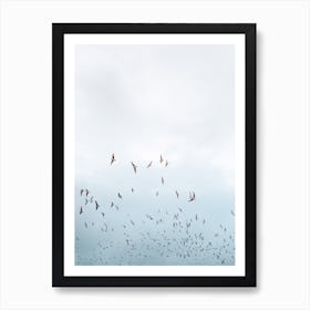 Swarm Art Print