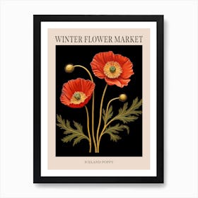 Iceland Poppy 2 Winter Flower Market Poster Art Print